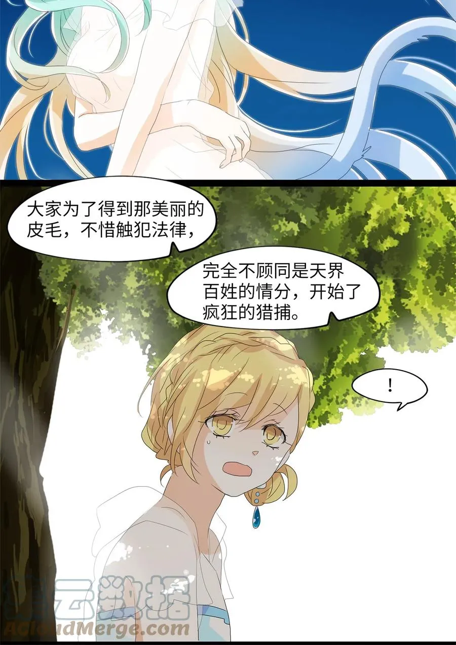 108 雾中彩虹（七） 第17页
