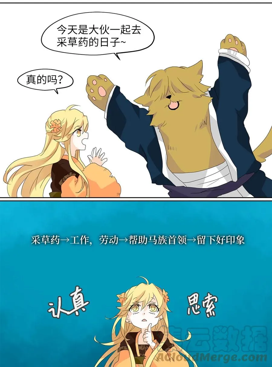 113 月见草（二） 第13页