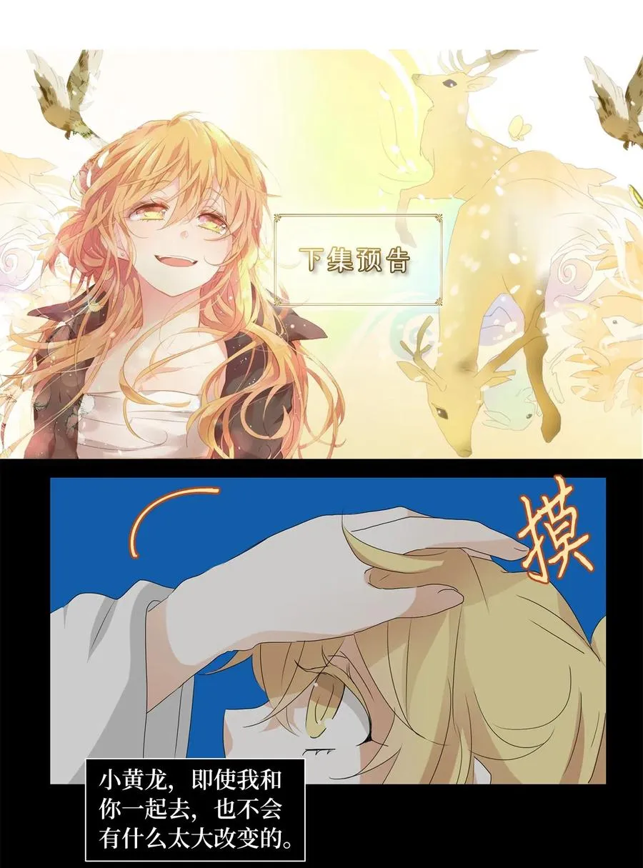 113 月见草（二） 第30页