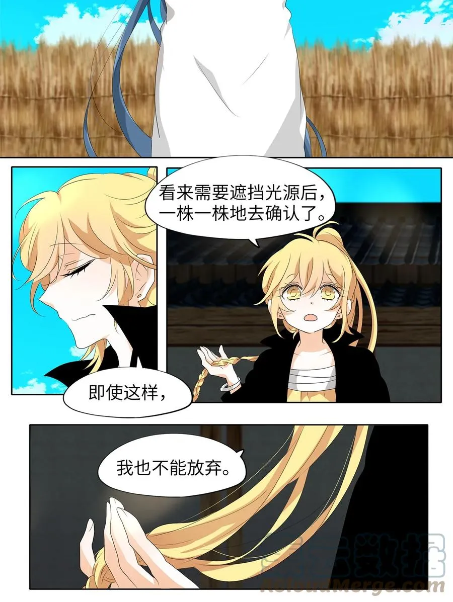 165 花凋零的时间（十二） 第13页