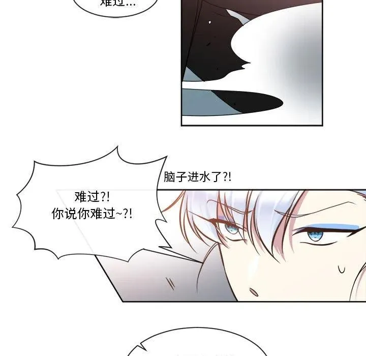 28 第11页
