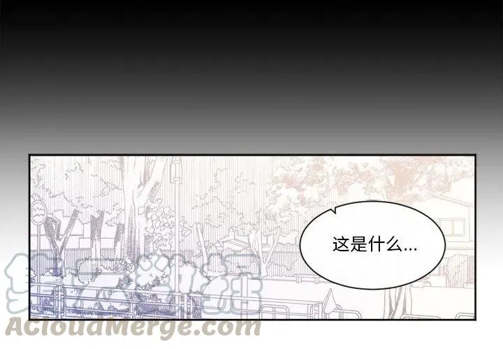 25 第4页