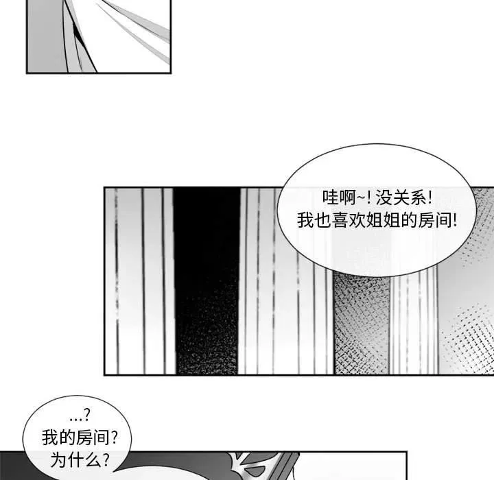 19 第48页