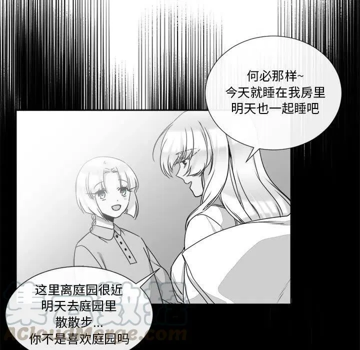 19 第52页