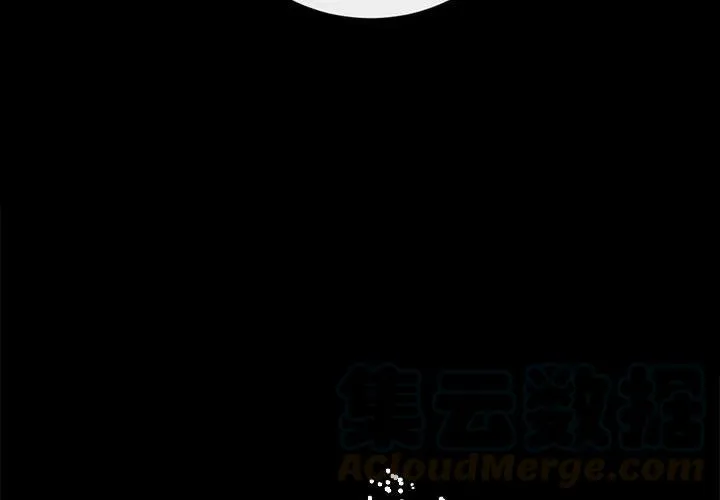 15 第4页