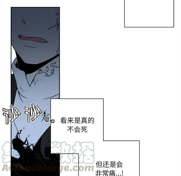13 第61页
