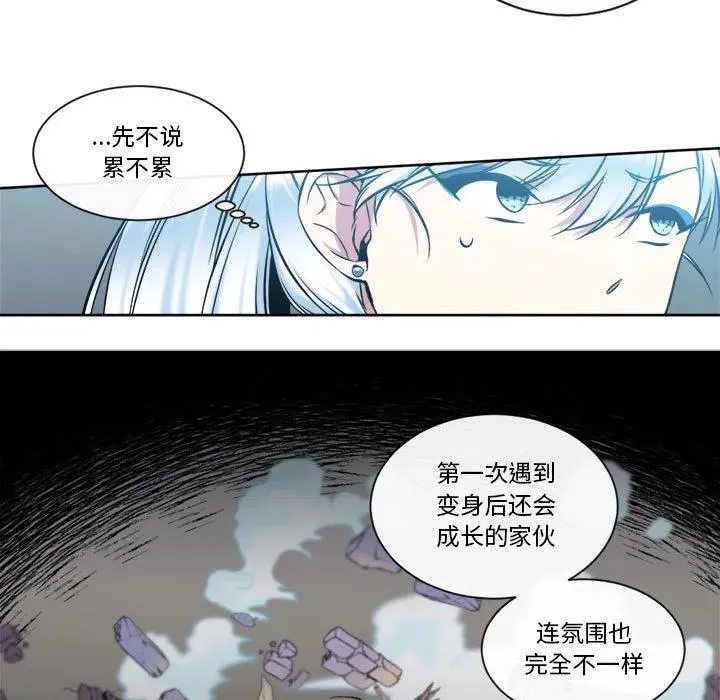 11 第51页