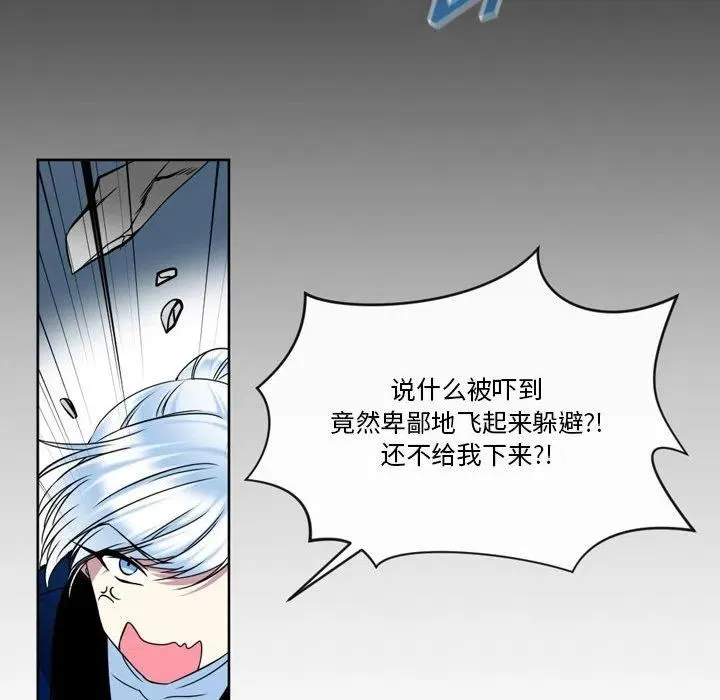 11 第59页