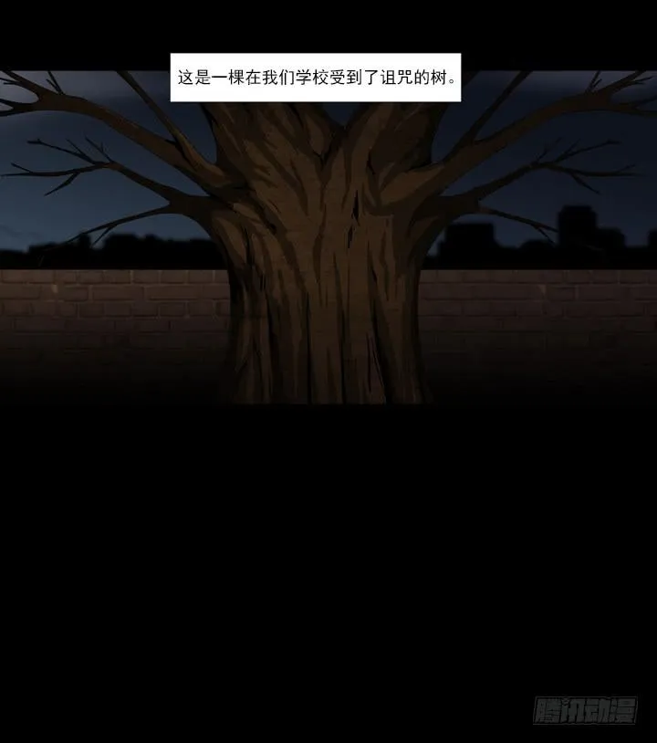诅咒树 第4页