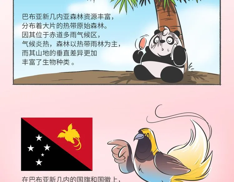 科普番外——“天堂鸟”在哪里 第2页