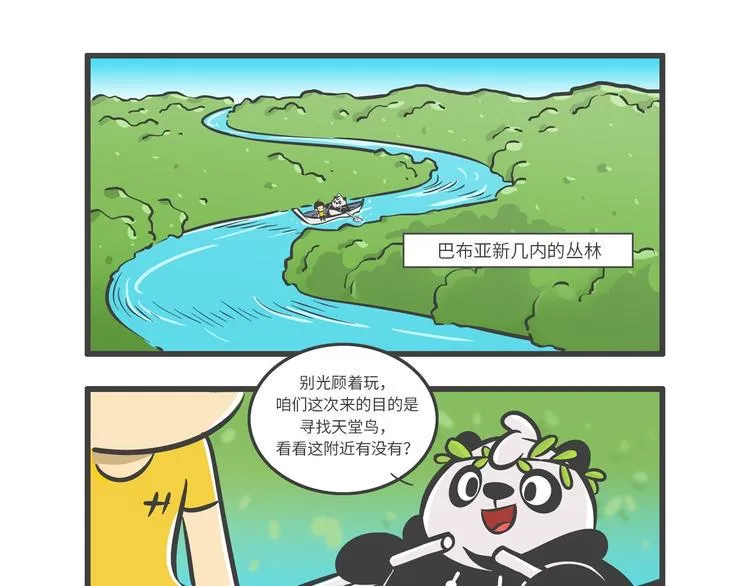 “武林高手”天堂鸟 第2页