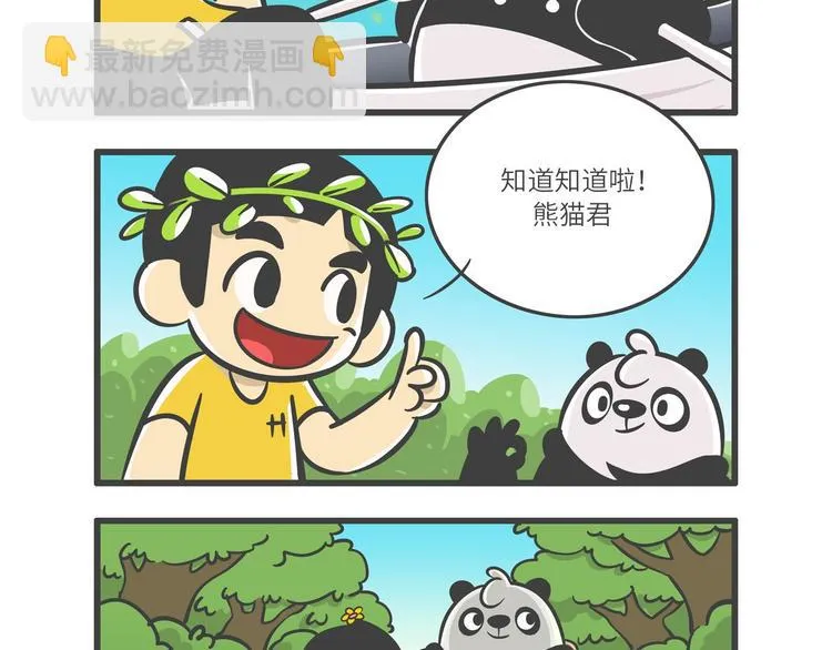 “武林高手”天堂鸟 第3页