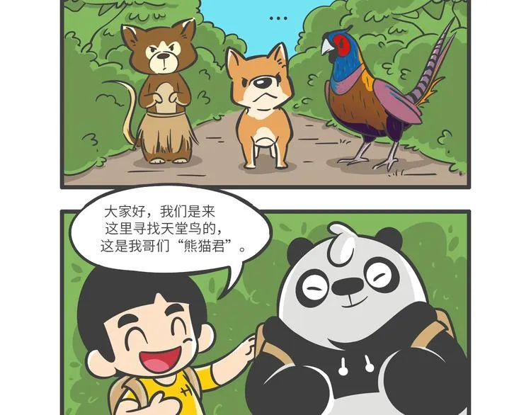 “武林高手”天堂鸟 第5页