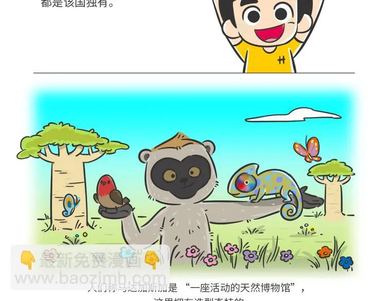 科普番外——马达加斯加 第2页