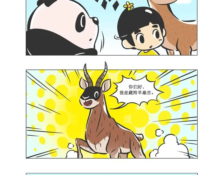 高原精灵“卓玛”和“桑吉” 第9页