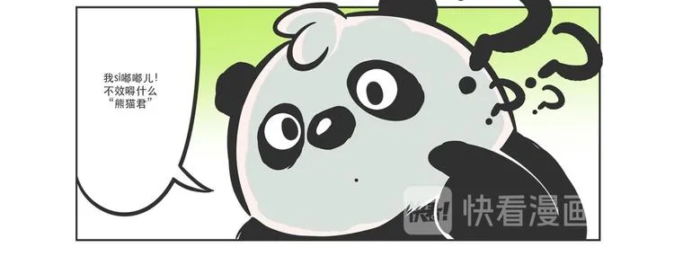 走丢的“熊猫君” 第5页