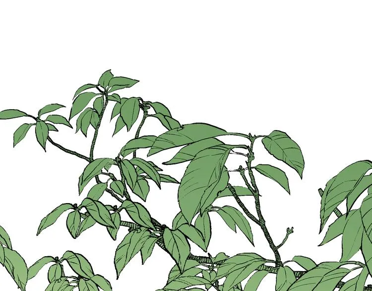 第7话 被你的身影吸引 第67页