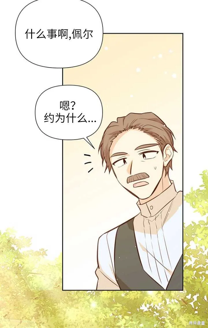 第50话 第41页