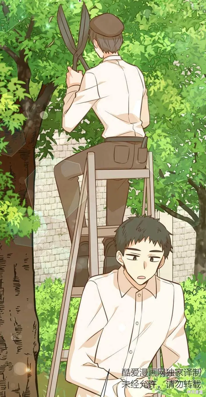 第39话 第3页