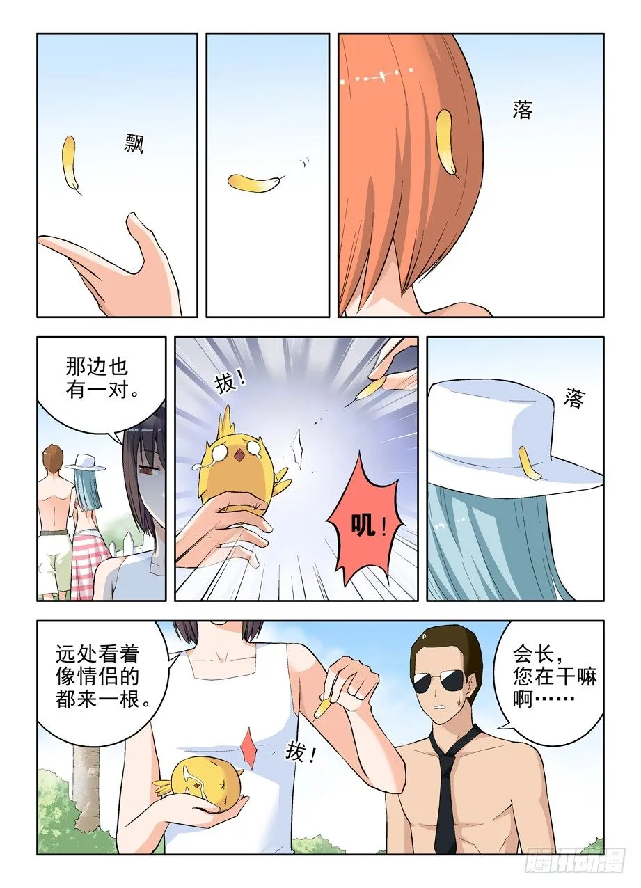 58,小鸡中的战斗机 第4页
