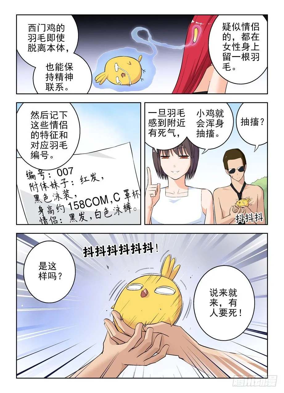 58,小鸡中的战斗机 第5页