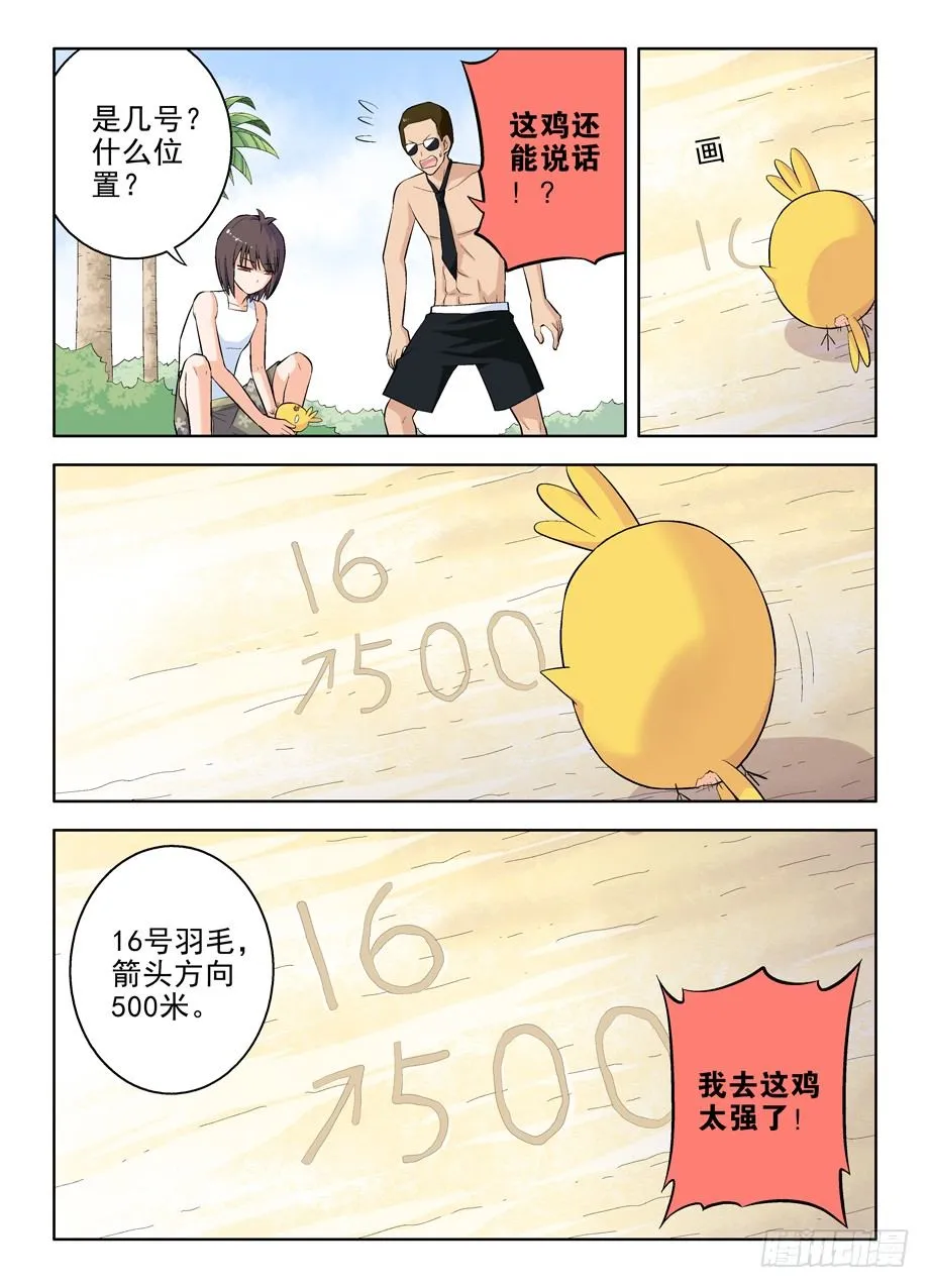58,小鸡中的战斗机 第6页