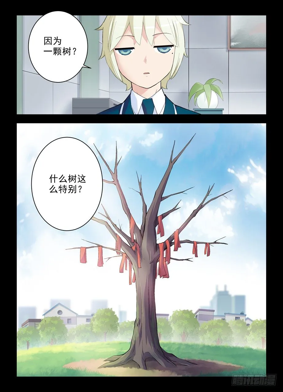 263，那绝逼不是相思树 第11页