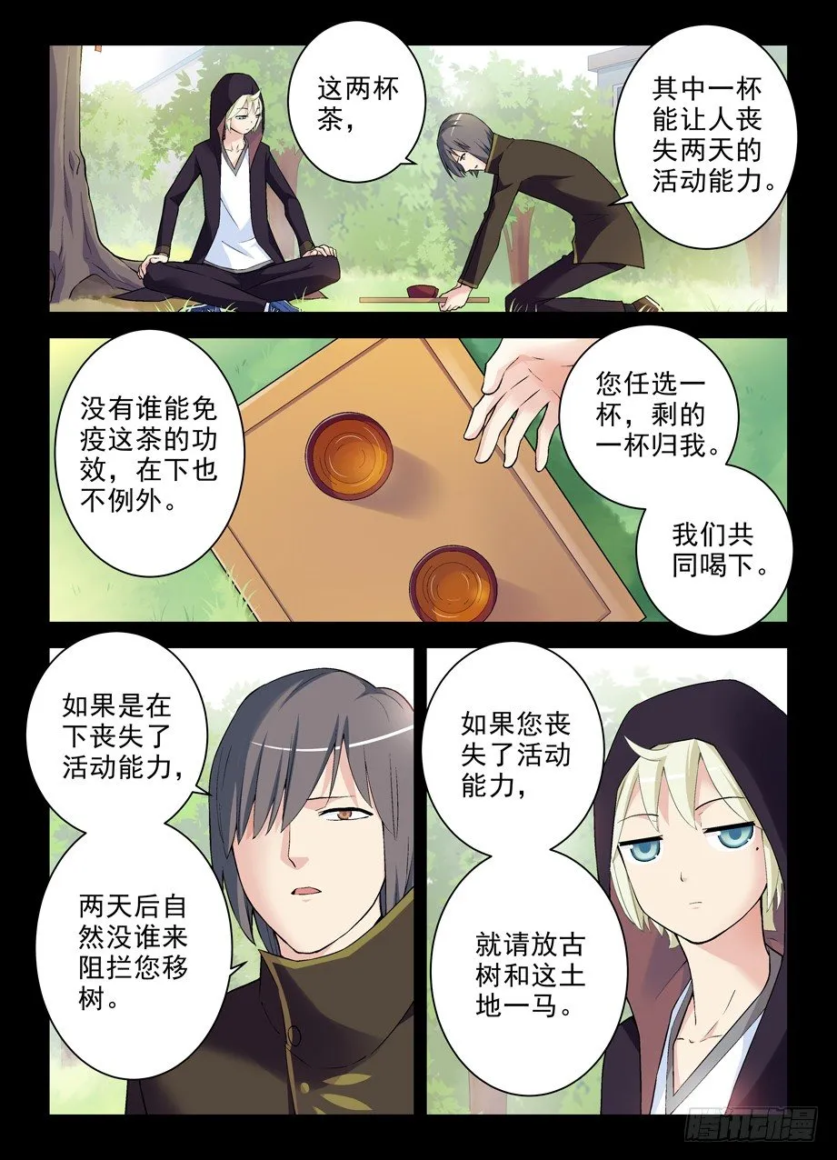 265,茶 第6页