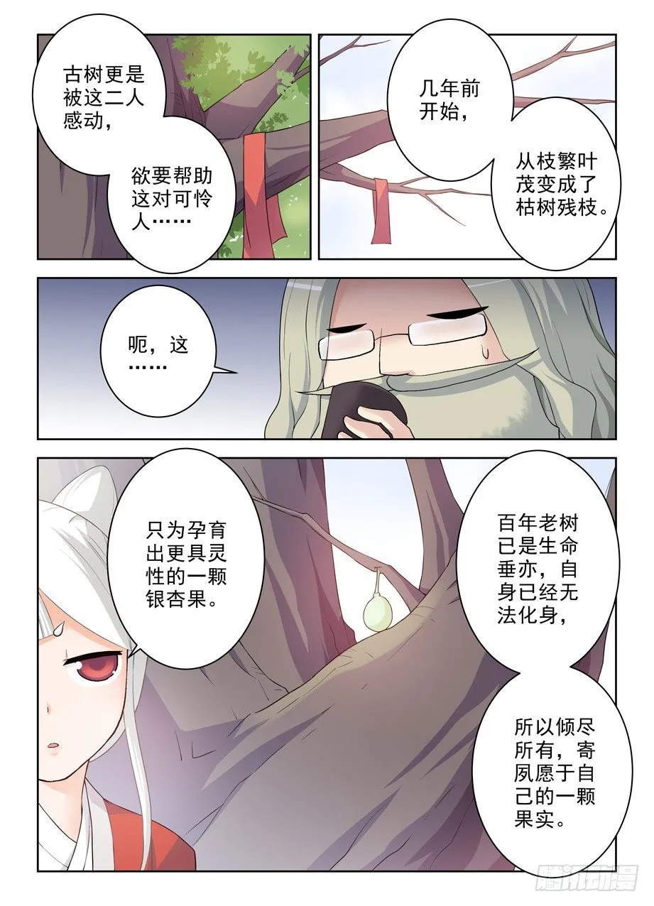 285，银杏果 第11页