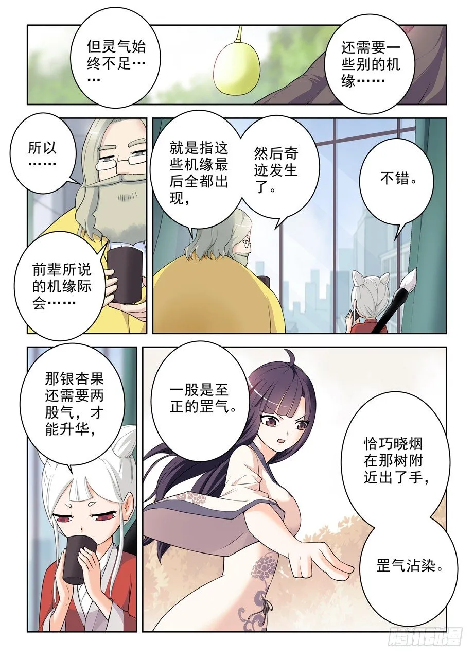 285，银杏果 第12页