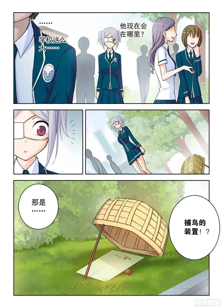 377,小鸡保卫战2 第3页