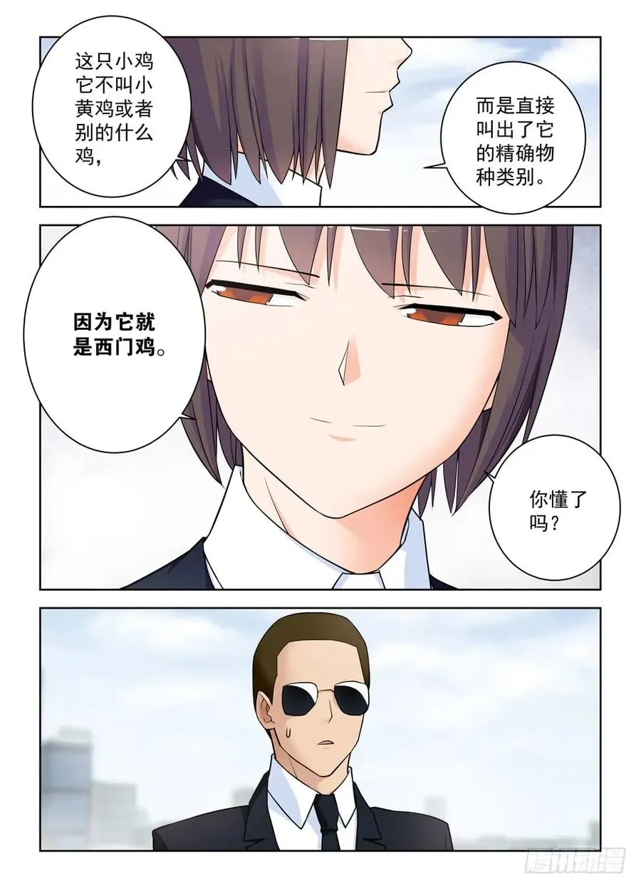 416,因为它是西门鸡 第5页