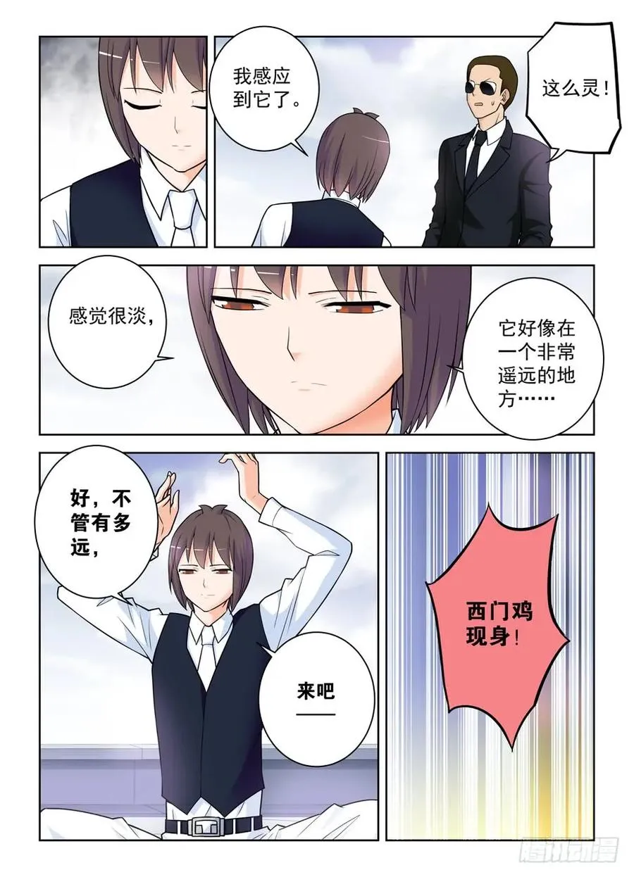 416,因为它是西门鸡 第12页
