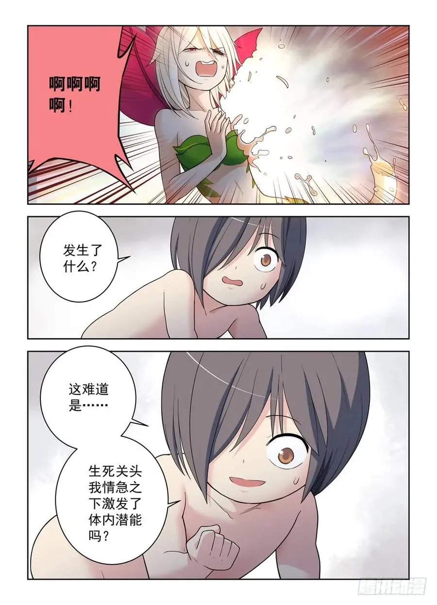 491，2.0 第3页