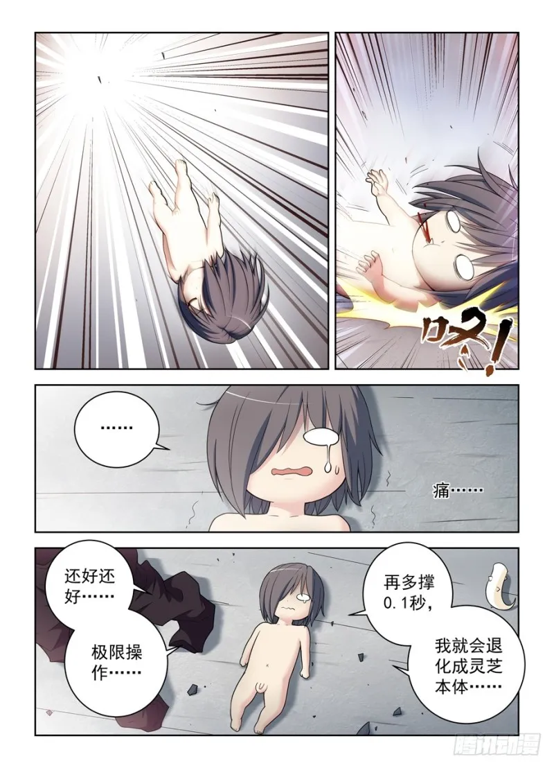 490，最后的归元弹 第14页