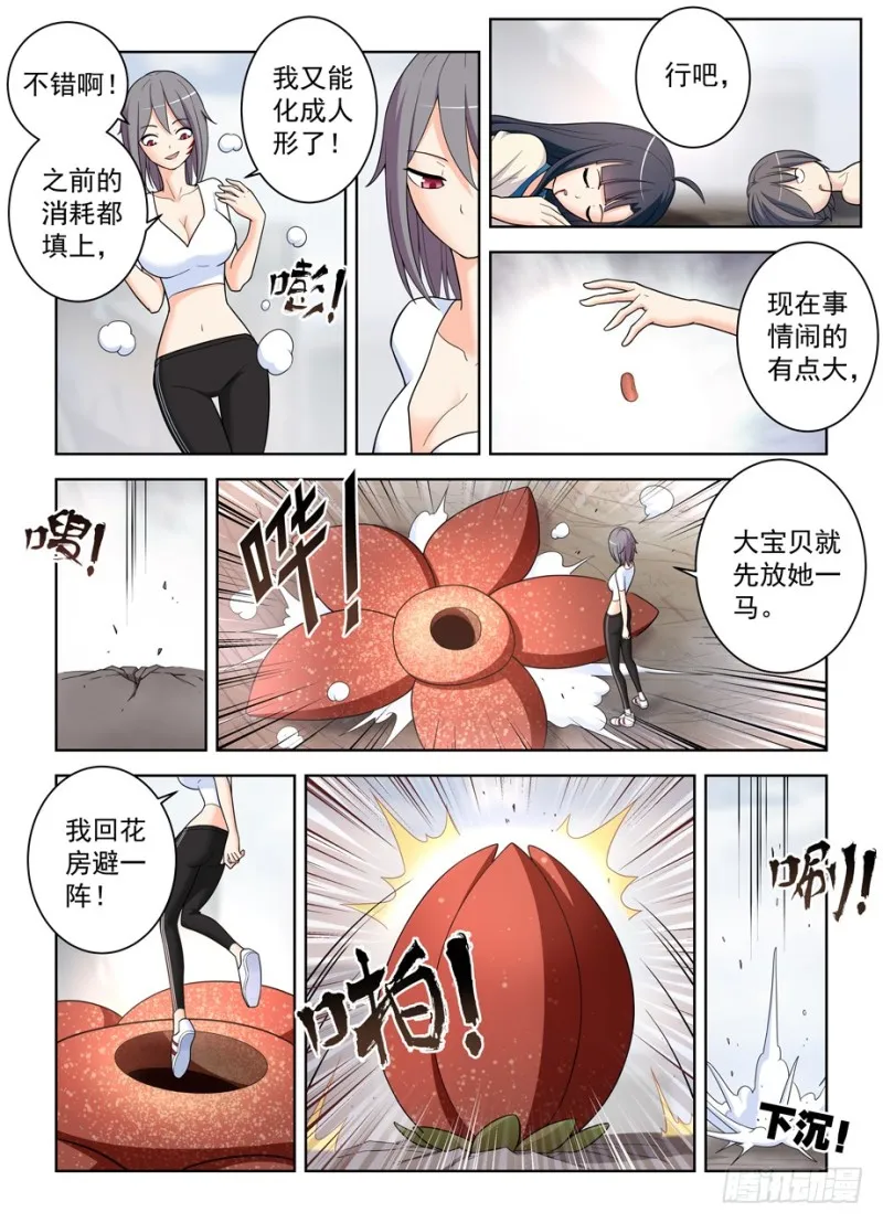 493,我的名字…… 第3页