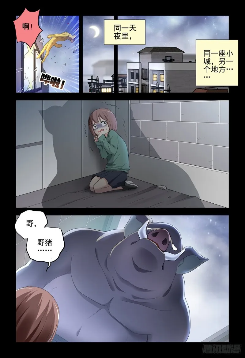 533，艺术 第14页