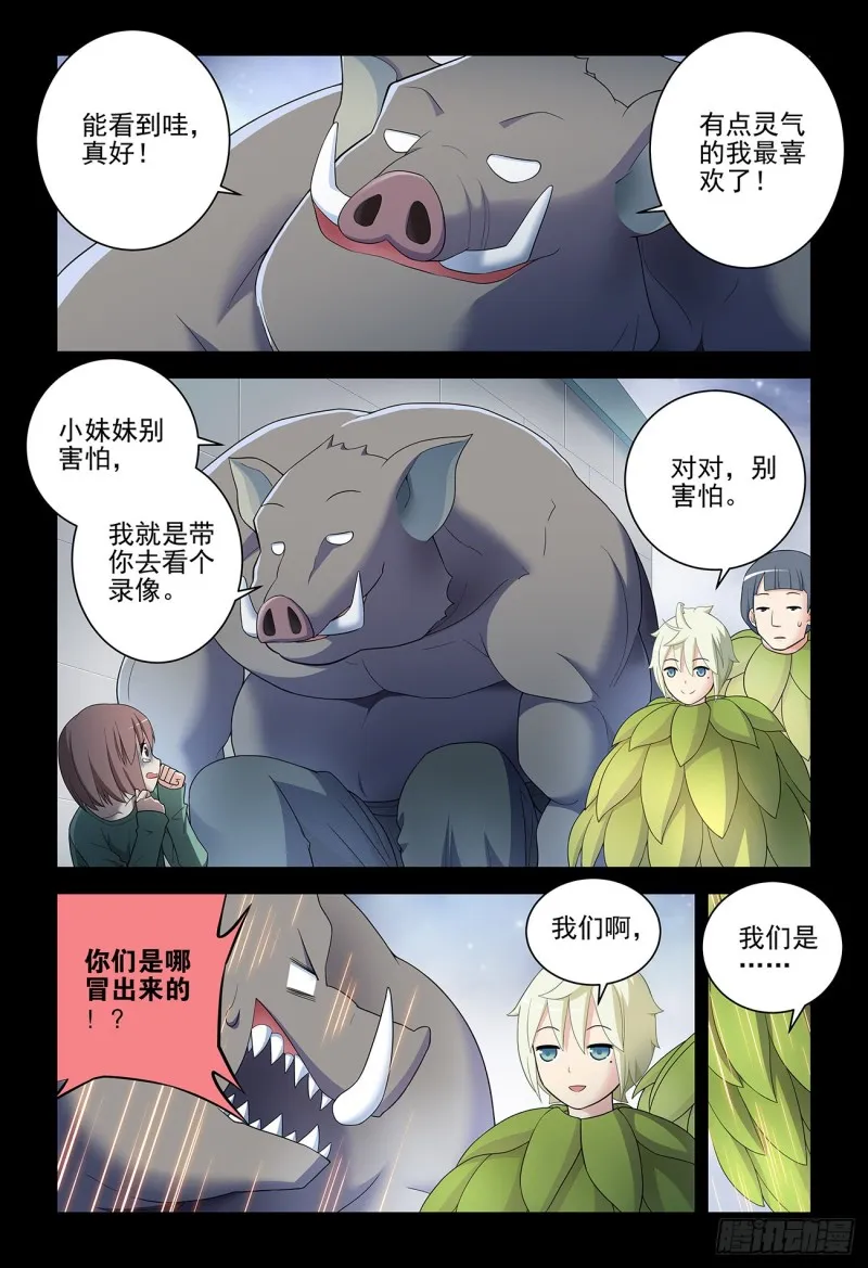 533，艺术 第15页