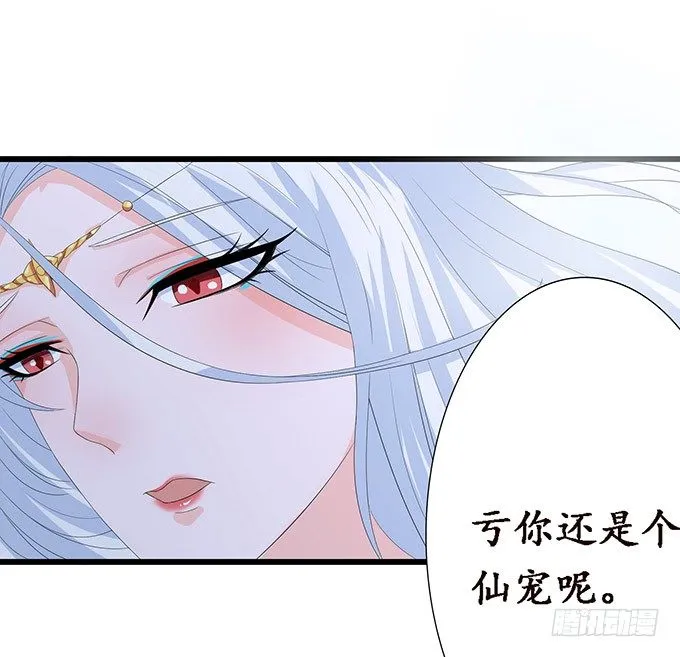 妲己的请求 第13页