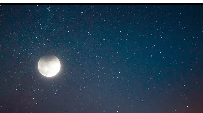 闻太师现身 第114页