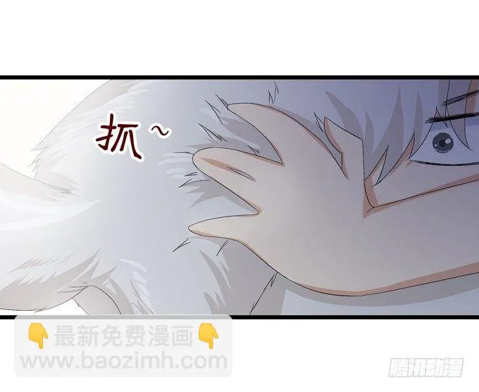 千年的约定 第235页
