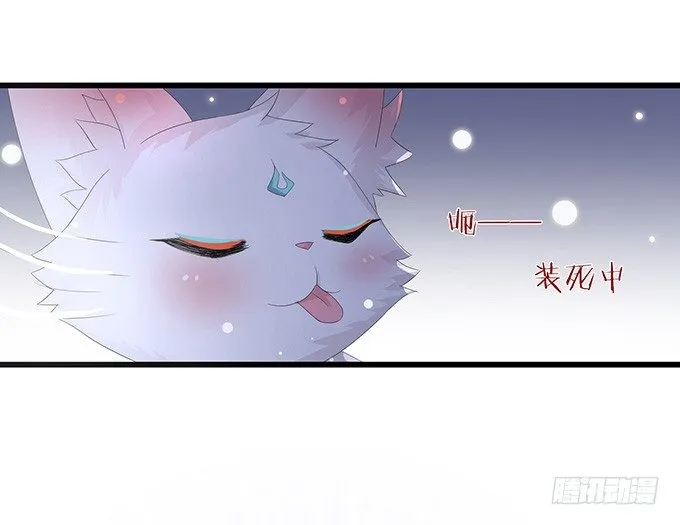 今生的重逢 第27页
