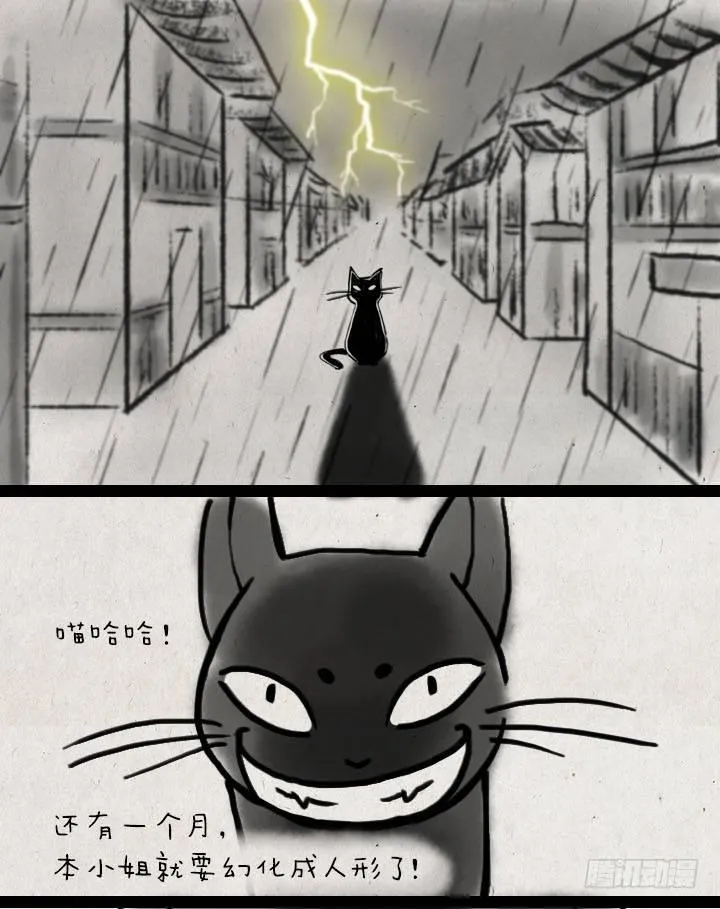 第五十七话 猫猫狗狗 第2页