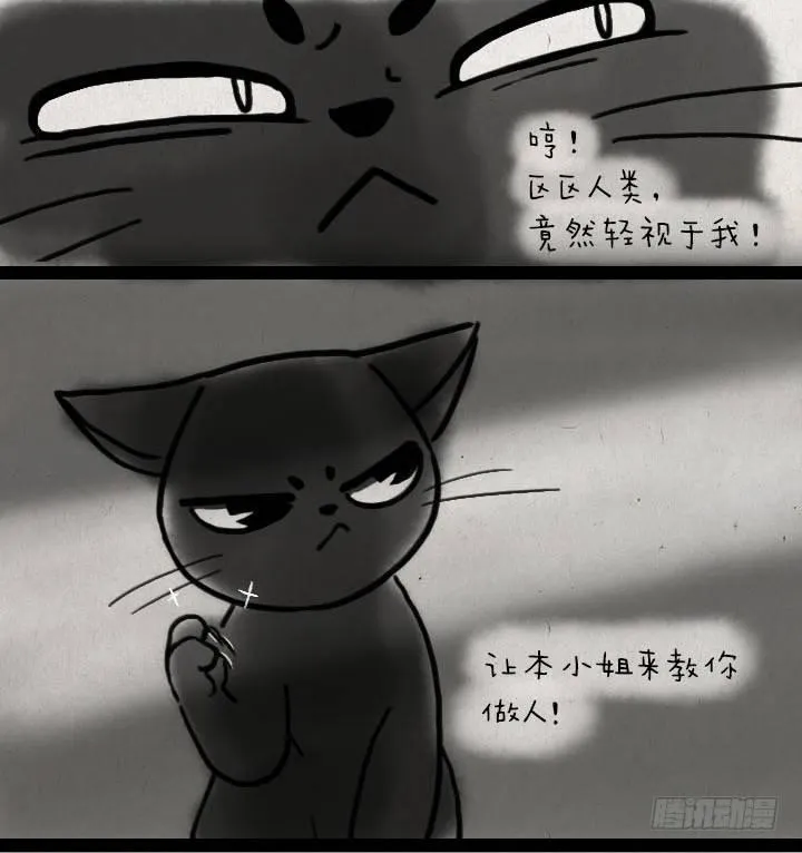第五十七话 猫猫狗狗 第6页