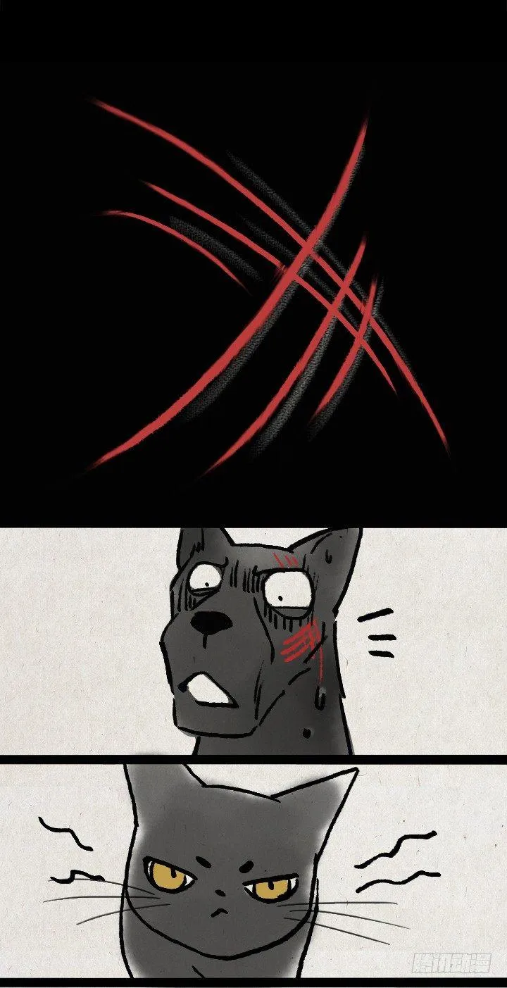 第五十九话 猫猫狗狗续集 第11页