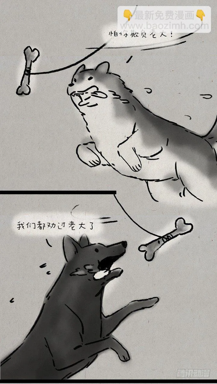 第五十九话 猫猫狗狗续集 第41页