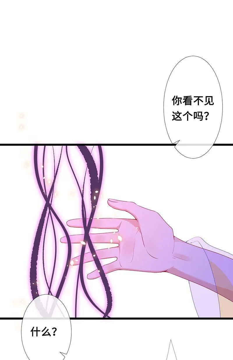 猫猫太难了 第4页