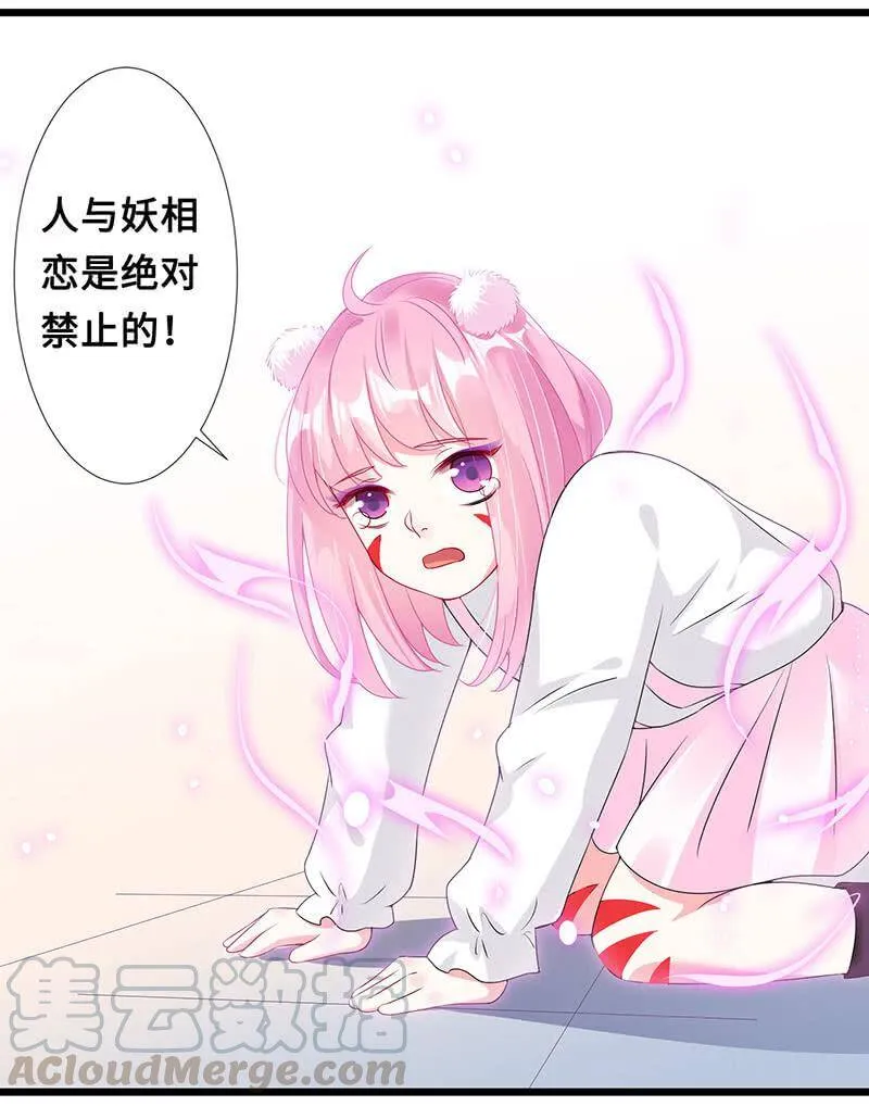 猫猫太难了 第11页