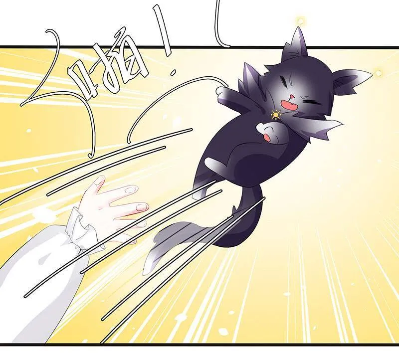 猫猫太难了 第15页