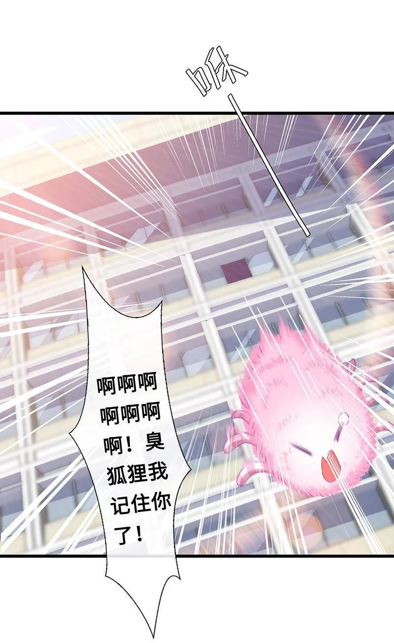 猫猫太难了 第39页